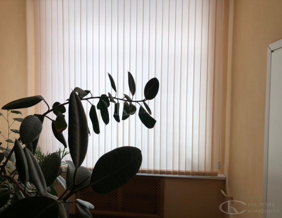 Вертикальные тканевые жалюзи